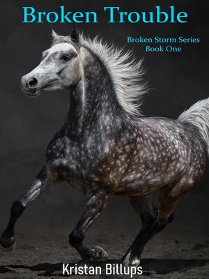 cover image of Broken Trouble